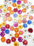 Chicmy-Colorful Daisy Pattern Buttons