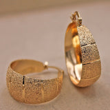 Chicmy-Luxurious Trendy Hoop Earrings for Women