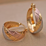 Chicmy-Luxurious Trendy Hoop Earrings for Women